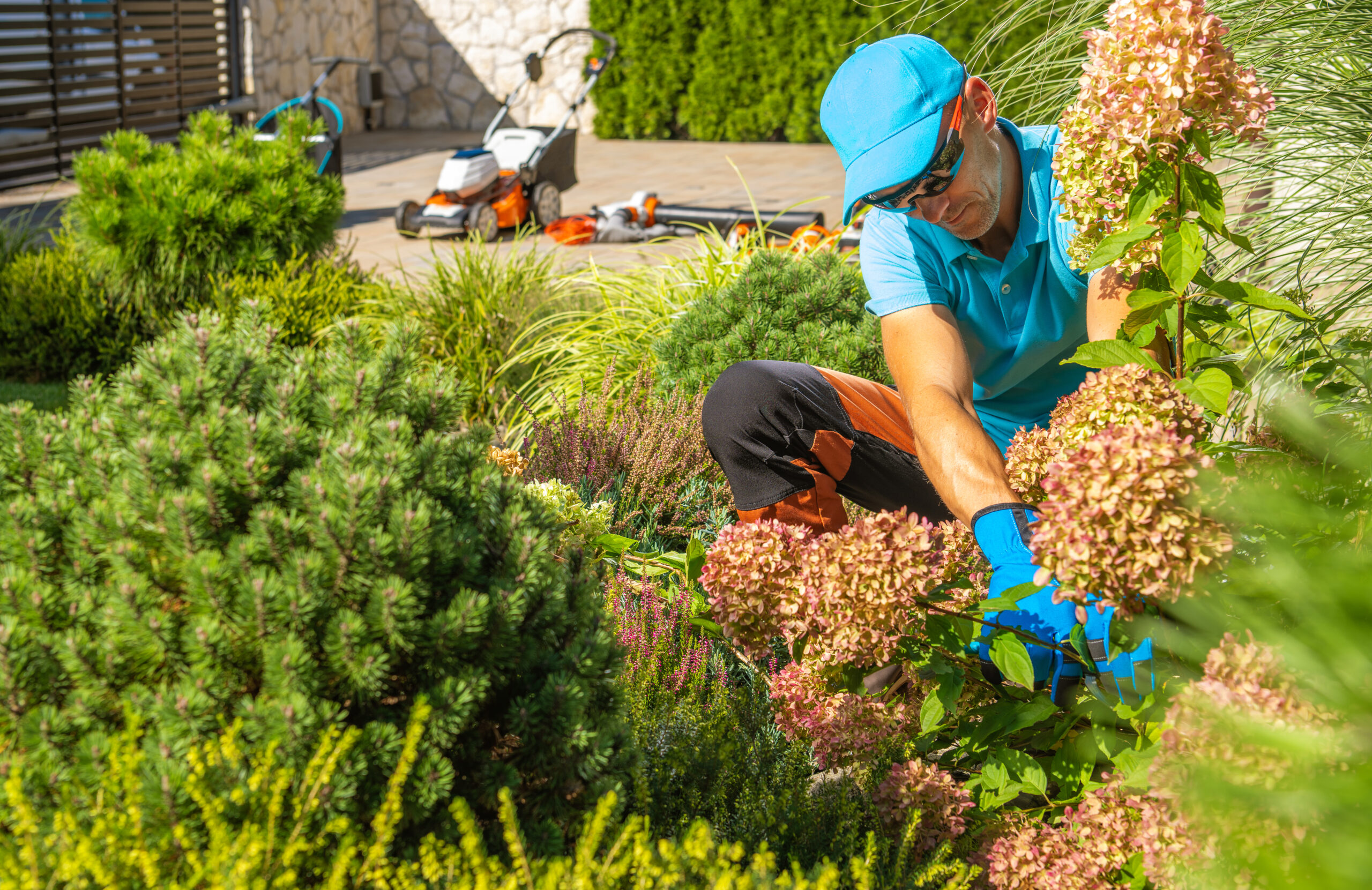 Jardinier en train d’entretenir des fleurs et des arbustes dans un jardin.