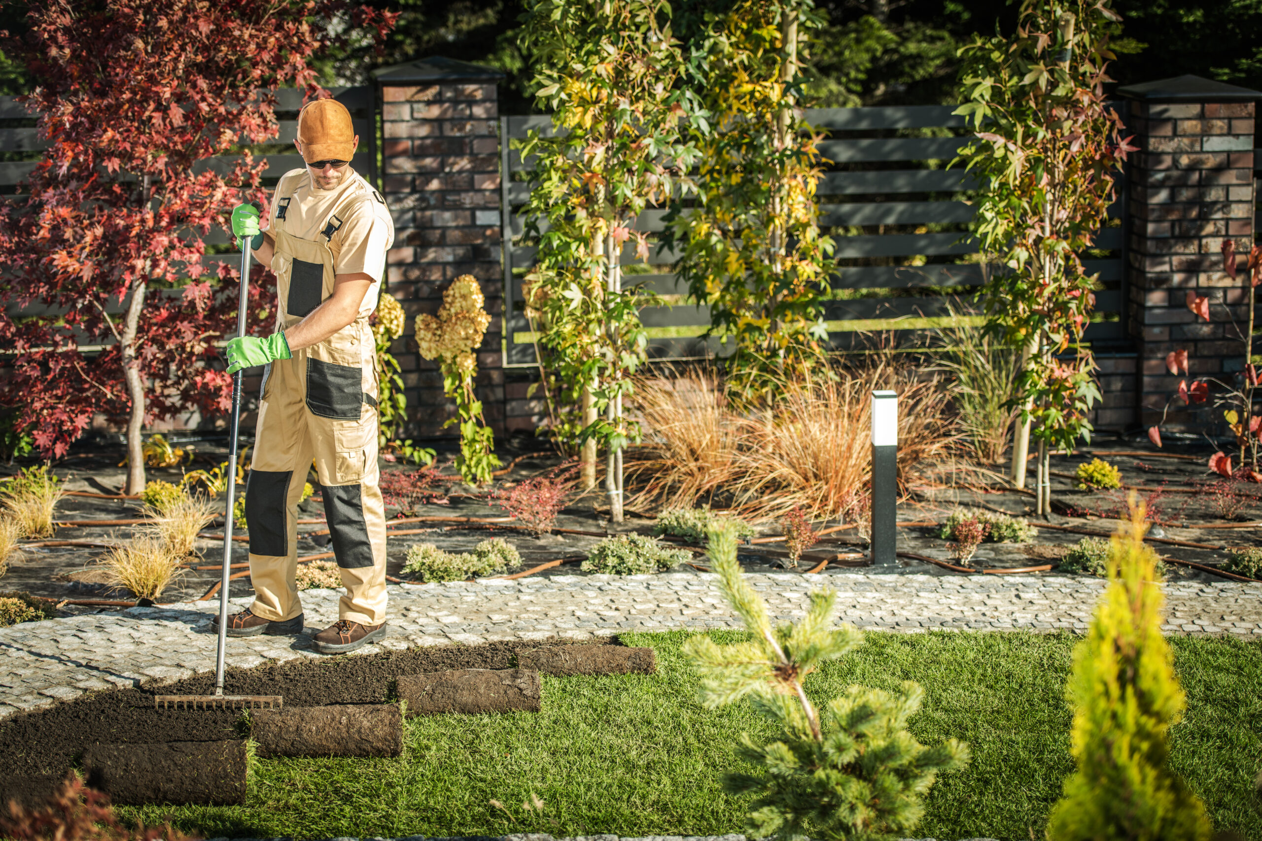 Paysagiste posant des rouleaux de gazon pour un aménagement de jardin.